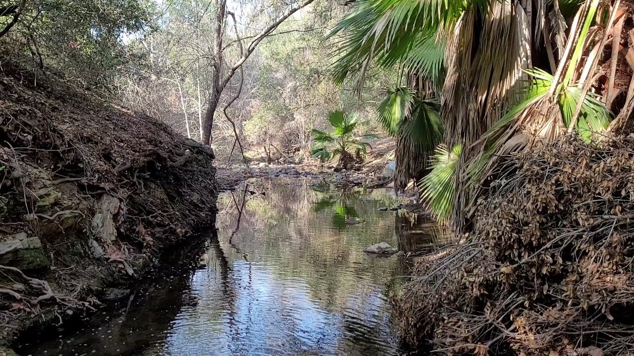 Nature hike along Walnut Creek at Antonovich Trailhead an urban oasis in San Dimas California USA