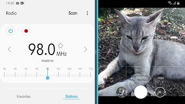 Power98 - Last Day on the FM Frequency + RDS (30.10.2025) Featuring a Female Cat