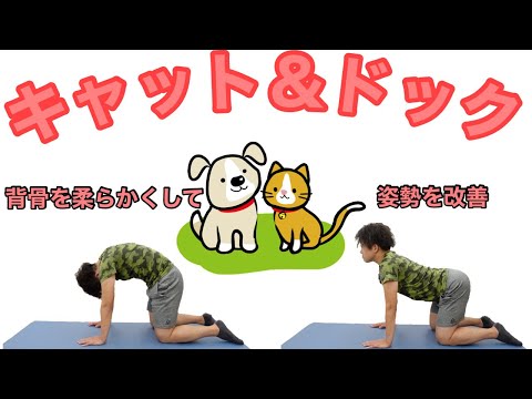 【ヨガ・ピラティス】キャット＆ドックをして背骨を柔軟に！【姿勢改善】