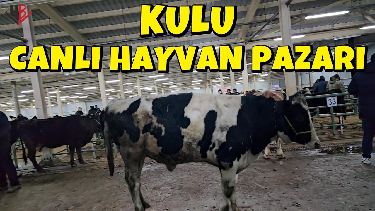 KULU CANLI HAYVAN PAZARI DURGUN