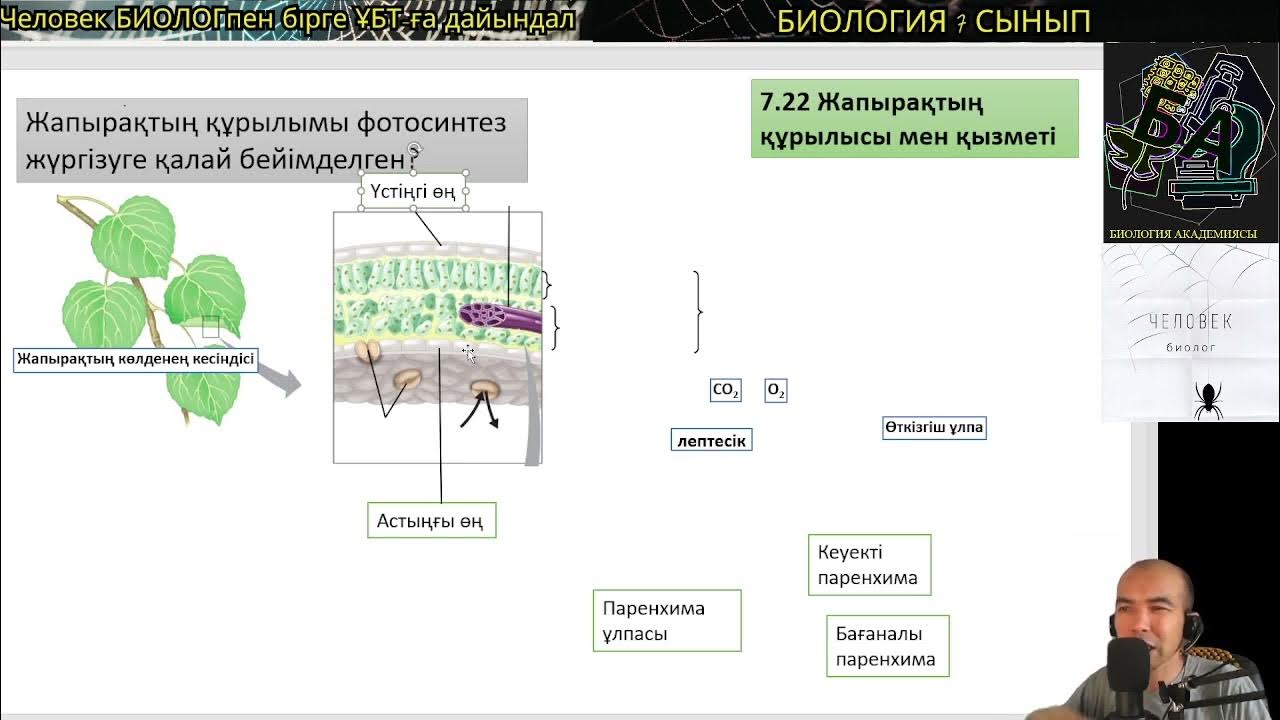 Джинсы киген семіз есектері бар ескі жетілген лесбиянки