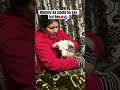 Maa beta❤️ #petshub #love #explorepage #cute #pets #puppy #petlover #petsies #puppypic #puppylove