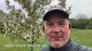 Keep Your Spirits Up