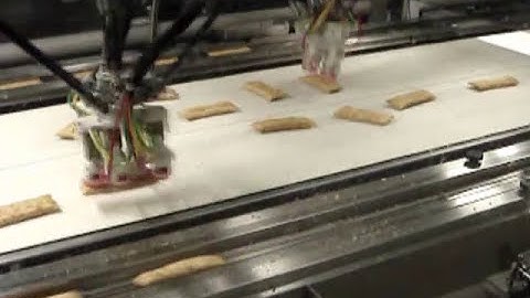 Frozen Prepared Foods into Wrappers | JLS Automation