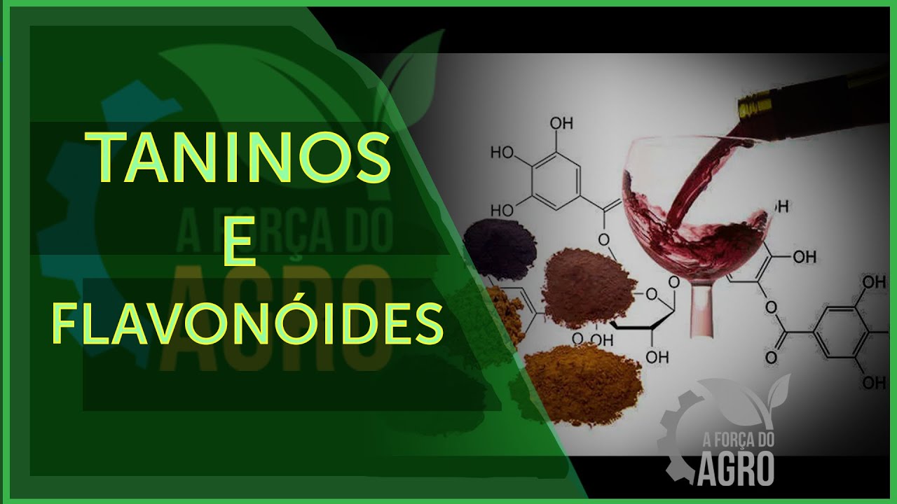 Antioxidantes são fundamentais para o bem-estar