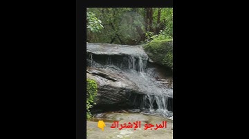 سورة الفاتحة بصوت سعد الغامدي