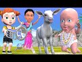 Babu Ki Shadi Bakri Se! 🐐💍 | Funny Cartoon Comedy | Pagal Beta