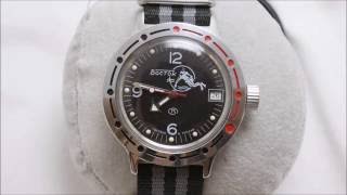 Vostoc Amphibia 420634 Scuba Dude