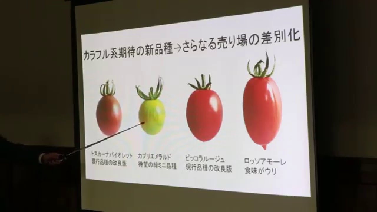 露地低コスト高収益型農業　【パイオニア・グランドスラム】