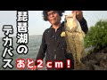 #8 佐賀～東京釣りの旅　琵琶湖でデカバス捕獲アラバマ最強説