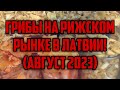 ГРИБЫ НА РИЖСКОМ РЫНКЕ В ЛАТВИИ! (АВГУСТ 2023) | КРИМИНАЛЬНАЯ ЛАТВИЯ