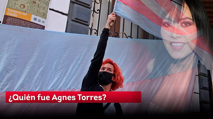 Quin fue Agnes Torres y por qu la ley lleva su nom...