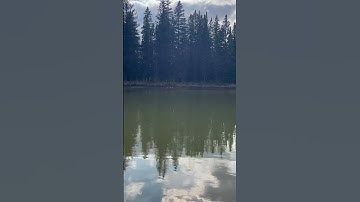 Thumbnail of Rain drops like crystals