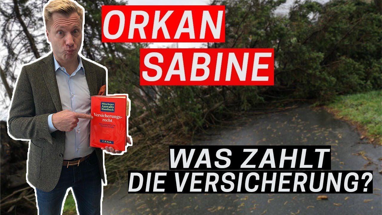 Update Orkan Sabine - Wer haftet nun für die entstandenen Schäden?!