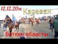 👍Караванда Ат-жылкы баалары кандай болду базар кызууго 12.12.20ж