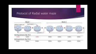 Radial Arm water maze