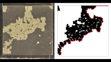 Comparing drying simulation to microfluidic experiment