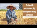 Sustainable entrepreneurship development through agritourism