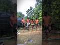 মেশিন ডান্স 😁🐸 #ytshorts #comedy #shorts #ytshorts #ajairabondhu0 #new