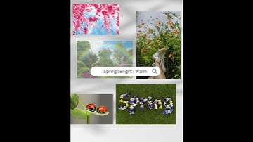 CANVA KEYWORDS TO GET BEAUTIFUL PHOTOGRAPY FOR YOUR BRAND