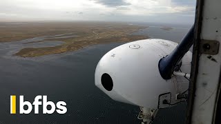 What Are The Falklands Like Today? Bfbs