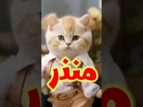 منذر منذر اغنية منذر اغنية باسم منذر منذر