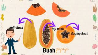Video Pembelajaran Buah Pepaya