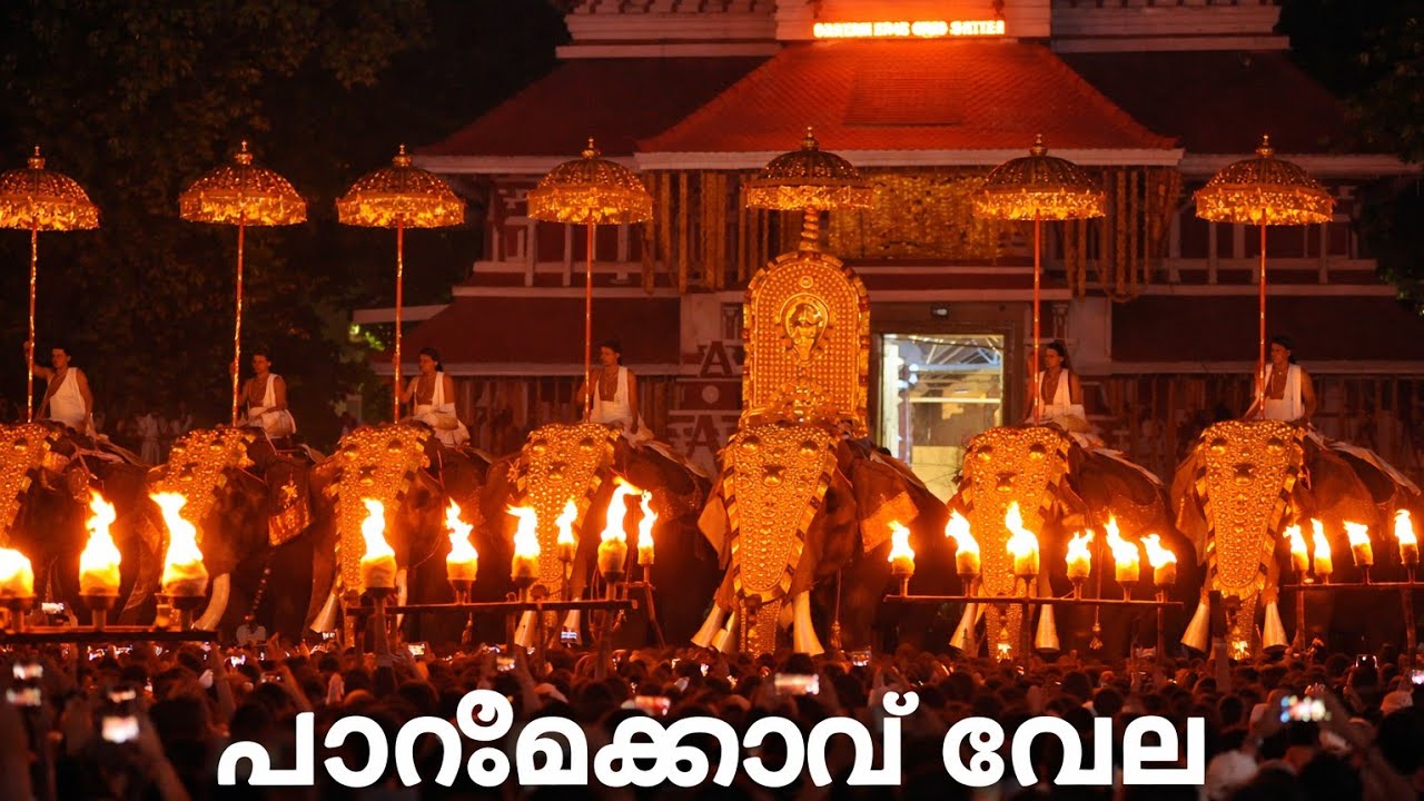 കൊമ്പന്മാരുടെ ആ വരവ് കണ്ടോ???|paramekkavu vela💥💥