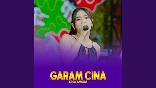Download Lagu Garam Cina MP3 Download Lagu Garam Cina MP3