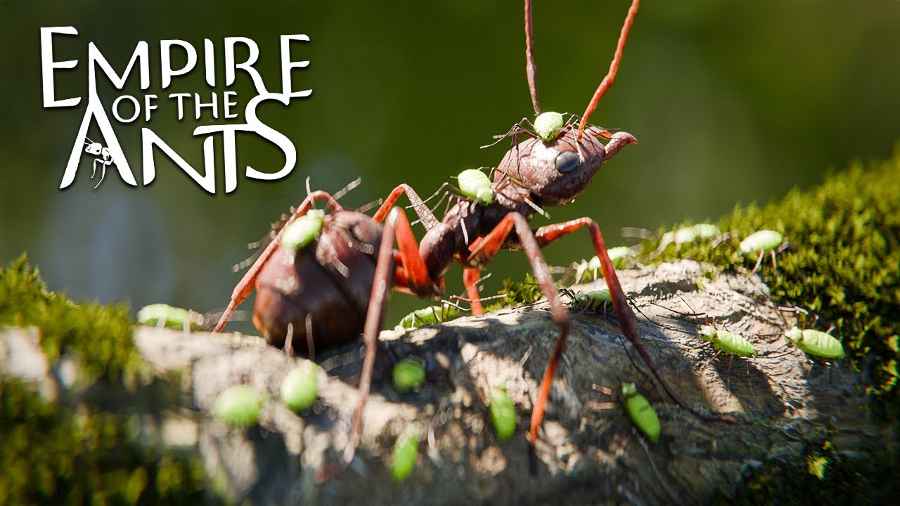 The First War Begins! - Empire of the Ants | Ep2 HD - YouTube