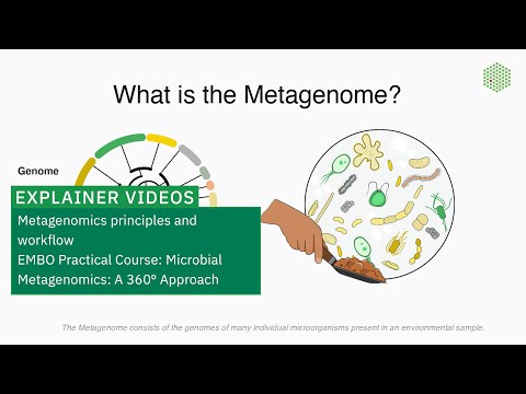 Video: Metagenomics ilianza lini?