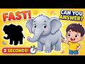 What’s Missing? 🧠 Fun Memory Game for Kids | Learn English with Animals &amp; Objects