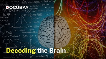 What If We Used the Full Capacity of Our Brains? |  IT
