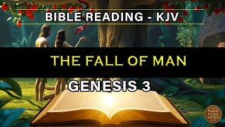 Bible Reading | Genesis 3 | The Fall of Man | King James Version