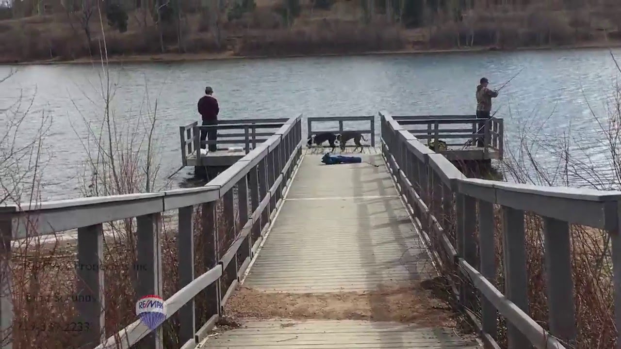 Check it out Quail Lake Park Colorado Springs Colorado YouTube