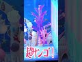 【あつ森】絶景!サンゴ礁が奇麗なマーメイドな部屋【切り抜き】#shorts #あつまれどうぶつの森 #あつ森 #切り抜き #vtuber