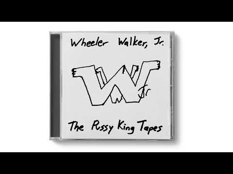 Wheeler Walker Jr. - Ain't Enough Dick To Go Around (Home Demo)
