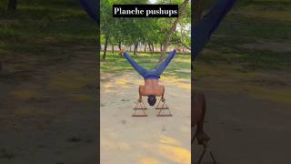 planche pushups 🥶🤯😱 #planche #pushups #calisthenics #challenge