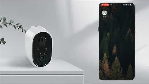 Birdty APP Network Operation Tutorial