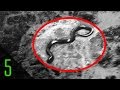 5 Mysterious Creature Sightings & Encounters in the Middle of Wars