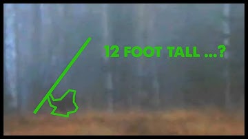 Bigfoot Throwing a Tree - NEW FOOTAGE!!! (ThinkerThunker)