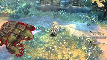 Tree of Savior CBT2 - Wizard vs bugged Rocktortuga