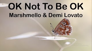 Marshmello & Demi Lovato - OK Not To Be OK (Lyrics)