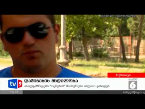 ახალი 6 | დაშინების მცდელობა | 17.08.12