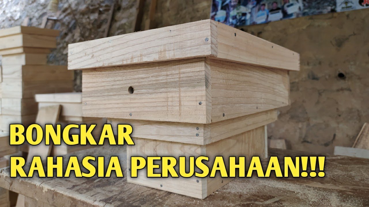EKSKLUSIF!!! PROSES PEMBUATAN KANDANG BERTINGKAT UNTUK LEBAH TRIGONA