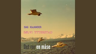 Det ror en måse