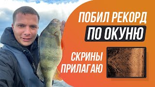 картинка: МЕГА окуни сделали мой приезд в Казань / Смотрим как на эхолоте отображается