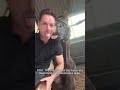 Pure Country Comedy: American Horse Chaos Compilation#FarmHorseChaos #SassyHorsesUSA