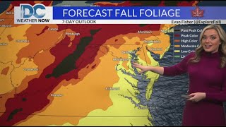 Thursday, Oct. 17th, 2024: Jackie's DMV Forecast: One more day with unseasonably cool temperatures