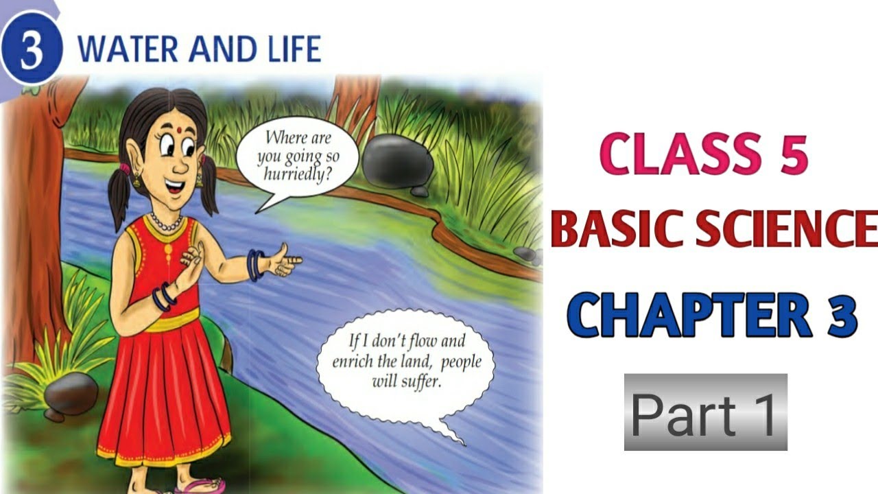 Class 5 Basic Science Chapter 3 Water and Life | Kerala Syllabus New ...